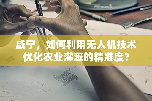 咸宁，如何利用无人机技术优化农业灌溉的精准度？
