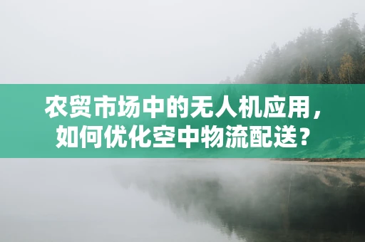 农贸市场中的无人机应用，如何优化空中物流配送？