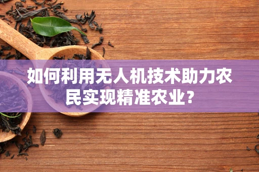 如何利用无人机技术助力农民实现精准农业？