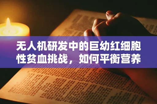 无人机研发中的巨幼红细胞性贫血挑战，如何平衡营养与飞行性能？