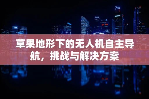 草果地形下的无人机自主导航，挑战与解决方案