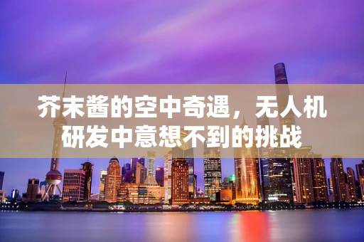 芥末酱的空中奇遇，无人机研发中意想不到的挑战