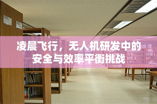 凌晨飞行，无人机研发中的安全与效率平衡挑战