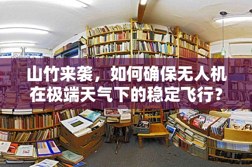 山竹来袭，如何确保无人机在极端天气下的稳定飞行？