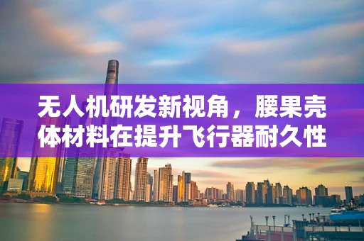 无人机研发新视角，腰果壳体材料在提升飞行器耐久性中的应用潜力？