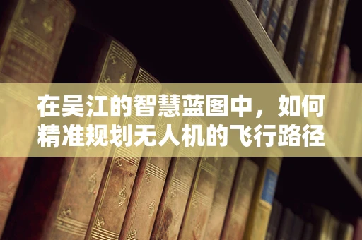 在吴江的智慧蓝图中，如何精准规划无人机的飞行路径？