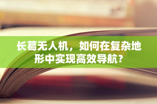 长葛无人机，如何在复杂地形中实现高效导航？