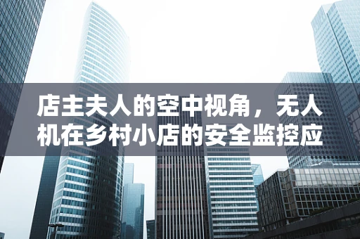 店主夫人的空中视角，无人机在乡村小店的安全监控应用
