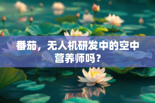 番茄，无人机研发中的空中营养师吗？