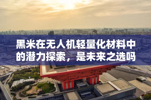 黑米在无人机轻量化材料中的潜力探索，是未来之选吗？