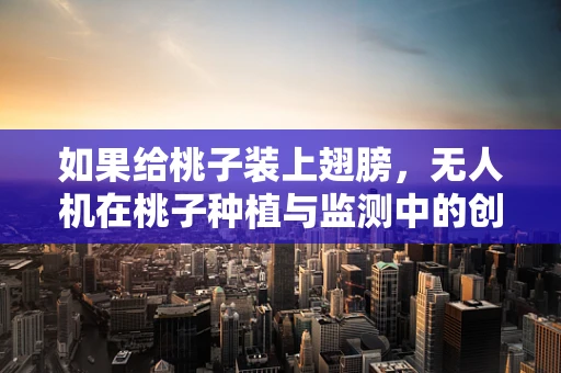如果给桃子装上翅膀，无人机在桃子种植与监测中的创新应用