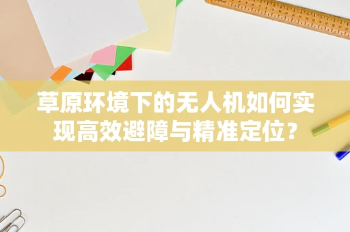 草原环境下的无人机如何实现高效避障与精准定位？