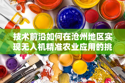 技术前沿如何在沧州地区实现无人机精准农业应用的挑战与对策？