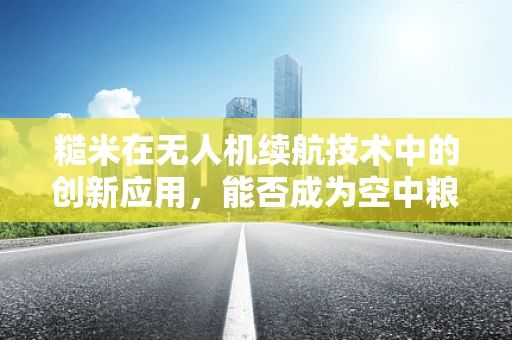 糙米在无人机续航技术中的创新应用，能否成为空中粮食的秘密？