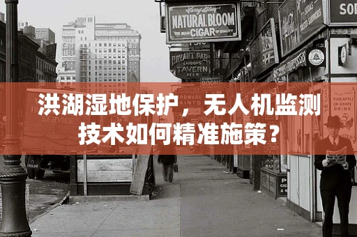 洪湖湿地保护，无人机监测技术如何精准施策？