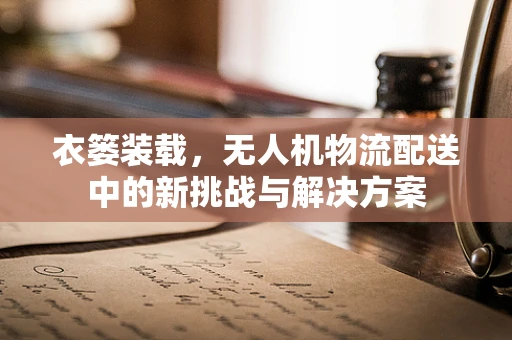 衣篓装载，无人机物流配送中的新挑战与解决方案