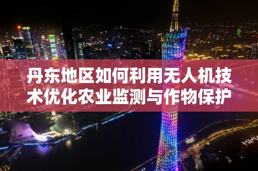 丹东地区如何利用无人机技术优化农业监测与作物保护？