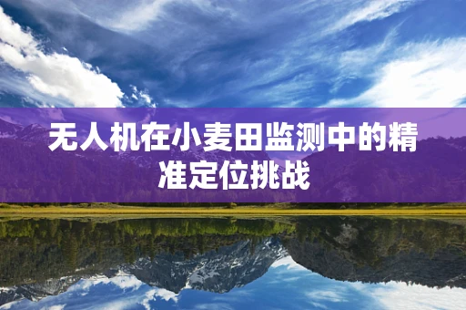 无人机在小麦田监测中的精准定位挑战