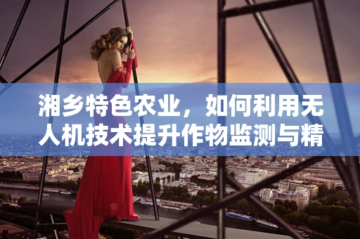 湘乡特色农业，如何利用无人机技术提升作物监测与精准施肥？