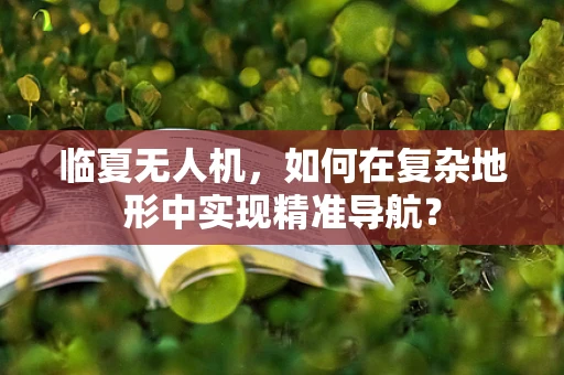 临夏无人机，如何在复杂地形中实现精准导航？