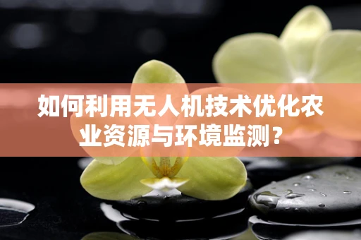 如何利用无人机技术优化农业资源与环境监测？