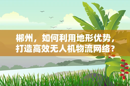 郴州，如何利用地形优势，打造高效无人机物流网络？