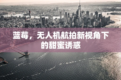 蓝莓，无人机航拍新视角下的甜蜜诱惑