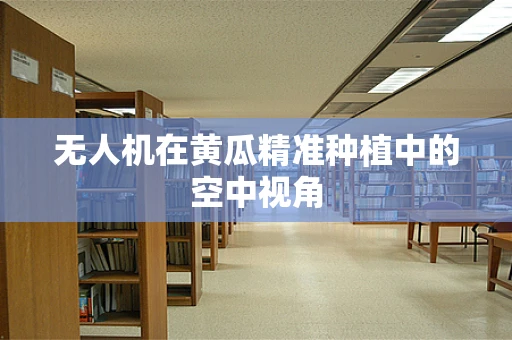 无人机在黄瓜精准种植中的空中视角