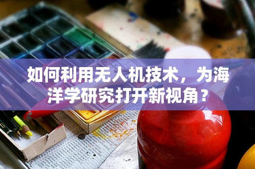 如何利用无人机技术，为海洋学研究打开新视角？