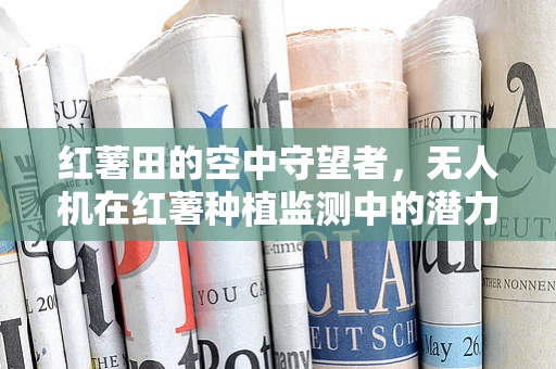 红薯田的空中守望者，无人机在红薯种植监测中的潜力何在？