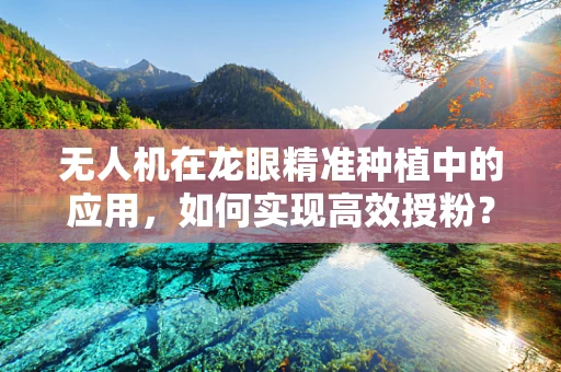 无人机在龙眼精准种植中的应用，如何实现高效授粉？