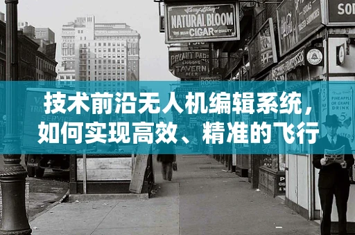 技术前沿无人机编辑系统，如何实现高效、精准的飞行任务规划？