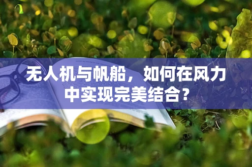 无人机与帆船，如何在风力中实现完美结合？