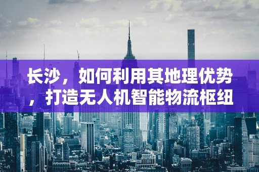 长沙，如何利用其地理优势，打造无人机智能物流枢纽？