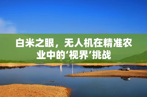 白米之眼，无人机在精准农业中的‘视界’挑战