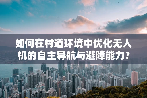 如何在村道环境中优化无人机的自主导航与避障能力？