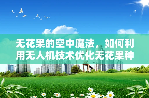 无花果的空中魔法，如何利用无人机技术优化无花果种植？