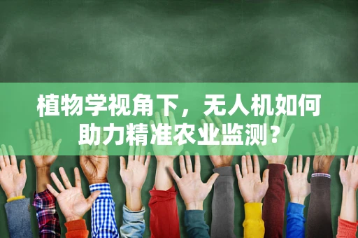植物学视角下，无人机如何助力精准农业监测？