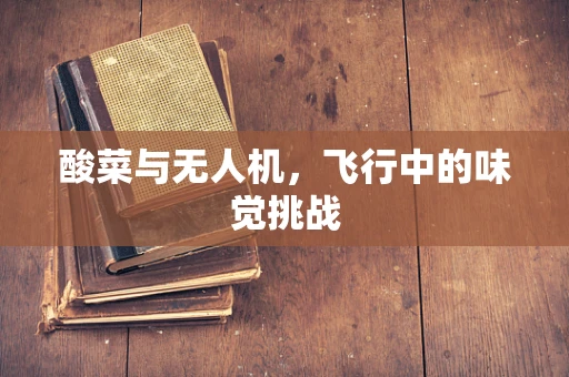 酸菜与无人机，飞行中的味觉挑战