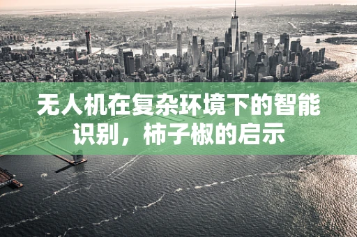 无人机在复杂环境下的智能识别，柿子椒的启示