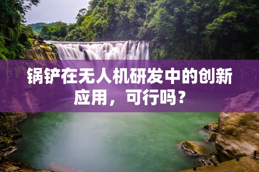 锅铲在无人机研发中的创新应用，可行吗？