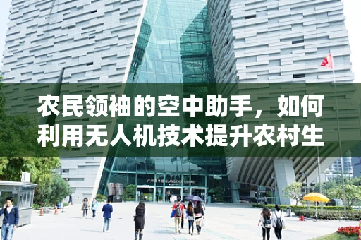 农民领袖的空中助手，如何利用无人机技术提升农村生产效率？
