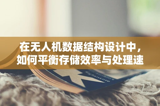 在无人机数据结构设计中，如何平衡存储效率与处理速度？