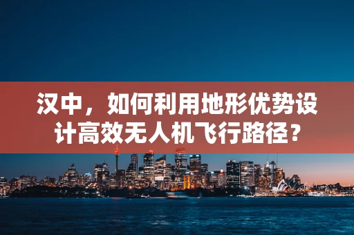 汉中，如何利用地形优势设计高效无人机飞行路径？