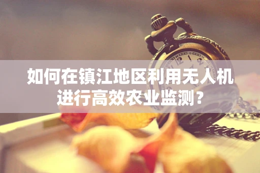 如何在镇江地区利用无人机进行高效农业监测？