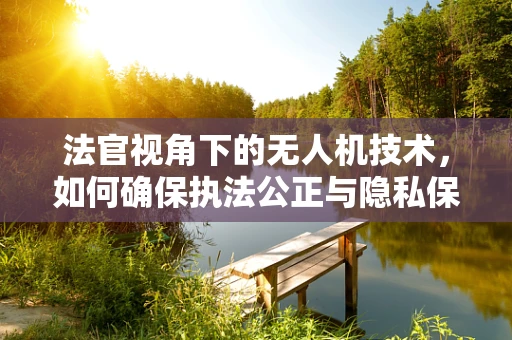 法官视角下的无人机技术，如何确保执法公正与隐私保护的平衡？