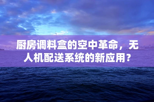 厨房调料盒的空中革命，无人机配送系统的新应用？