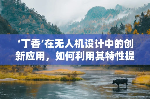 ‘丁香’在无人机设计中的创新应用，如何利用其特性提升飞行稳定性？