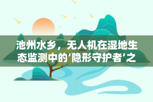 池州水乡，无人机在湿地生态监测中的‘隐形守护者’之谜