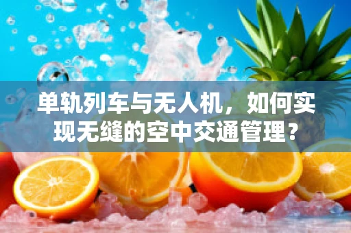 单轨列车与无人机，如何实现无缝的空中交通管理？